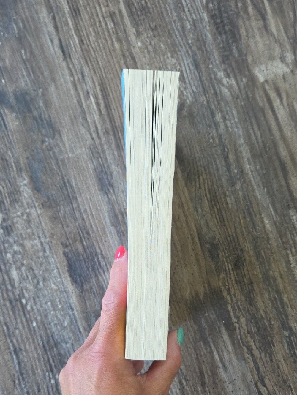 3/$13 or 4/$16 Dolly All The Time by Annabel Monaghan Paperback - Picture 4 of 4